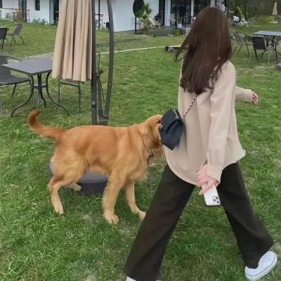 三白眼诅咒